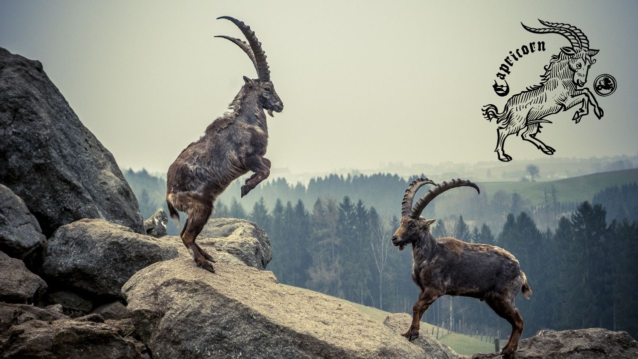 Capricorns Unveiled personality traits and characteristics