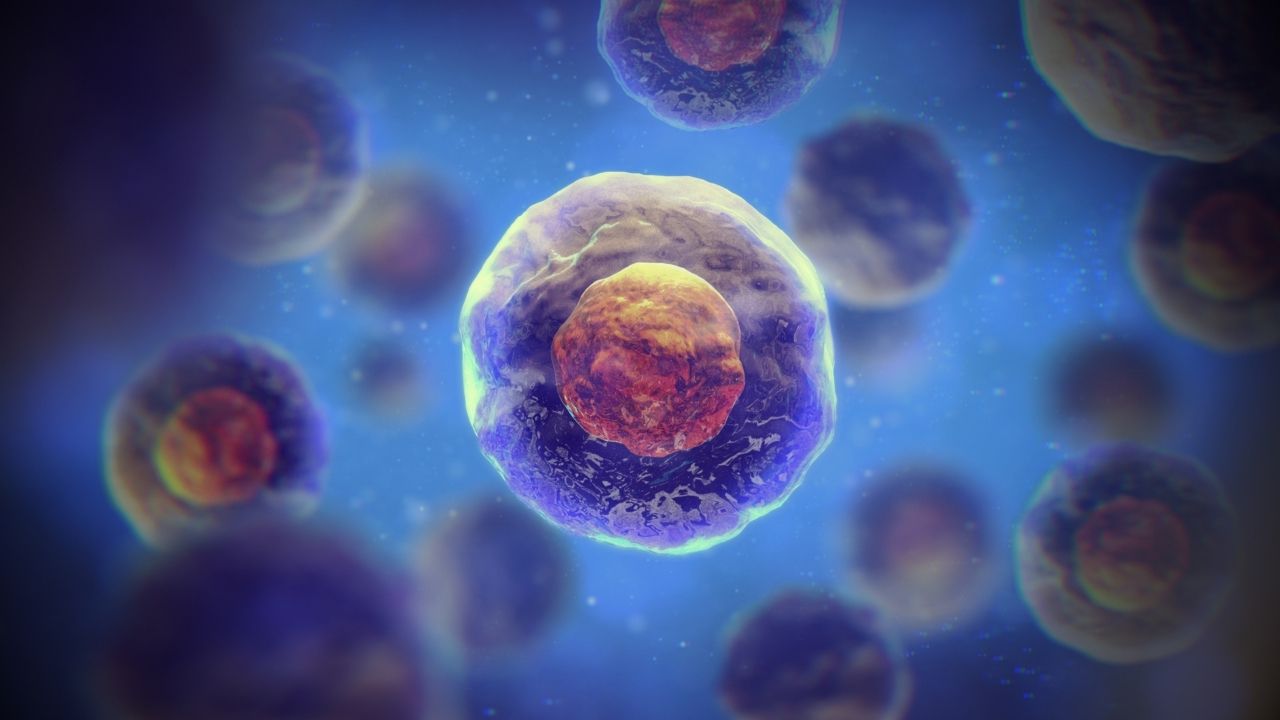 Nanometer to meter conversion_ Exploring the World of Ultra-Small Measurements, Tychr