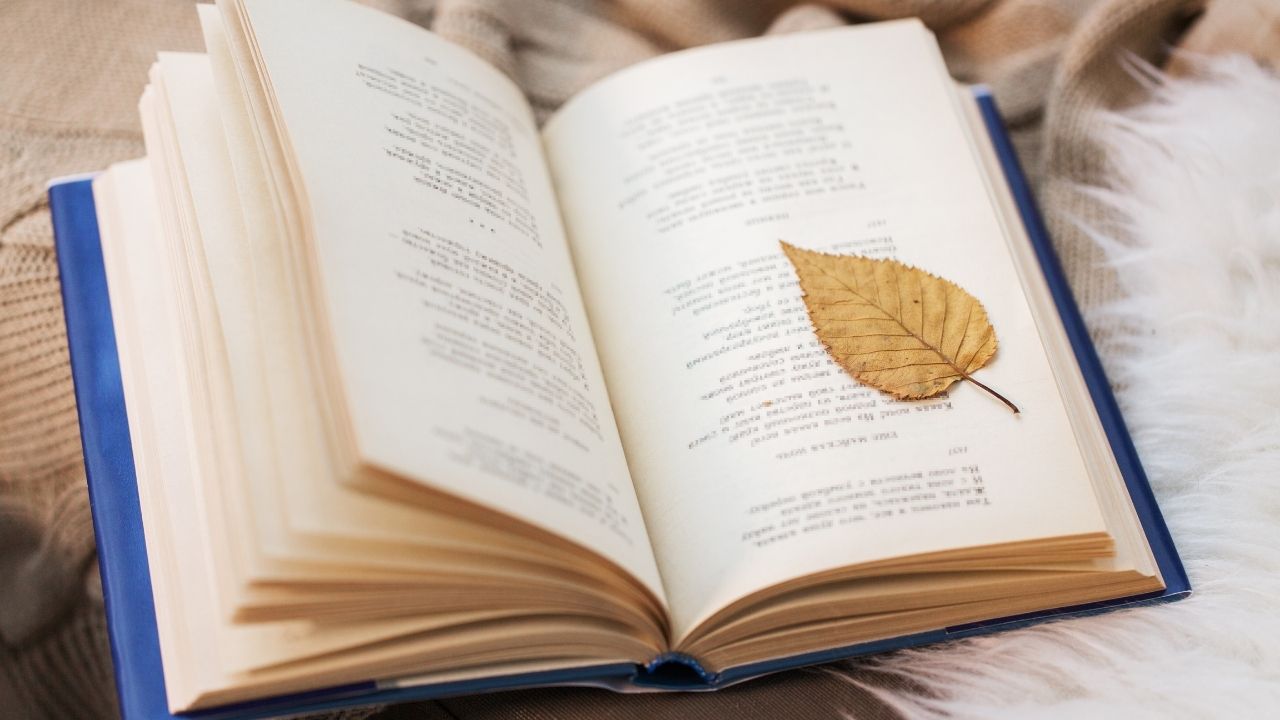 Because I Could Not Stop for Death Analysis: A Poem by Emily Dickinson