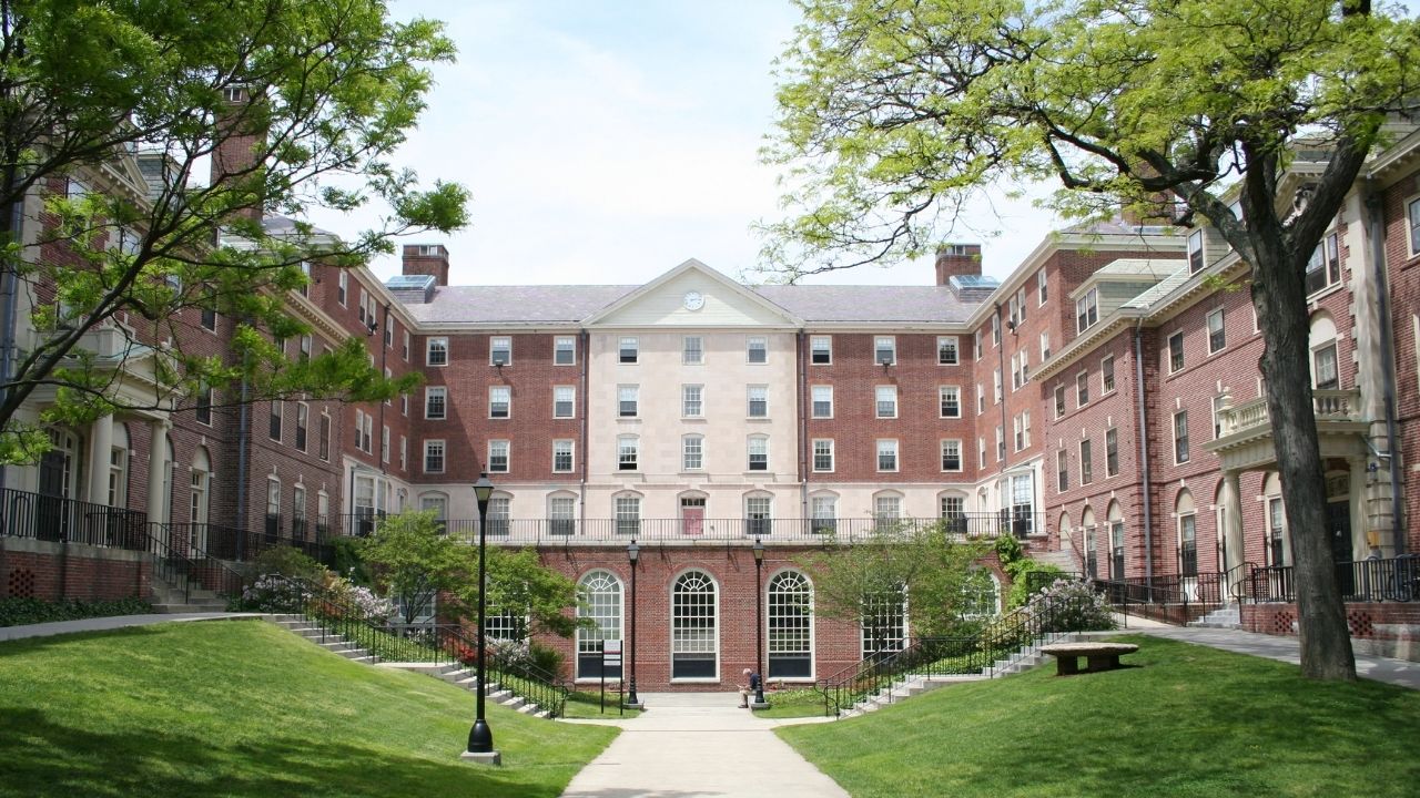 Ivy Day 2022 Insights into College Admissions and Prestigious Schools